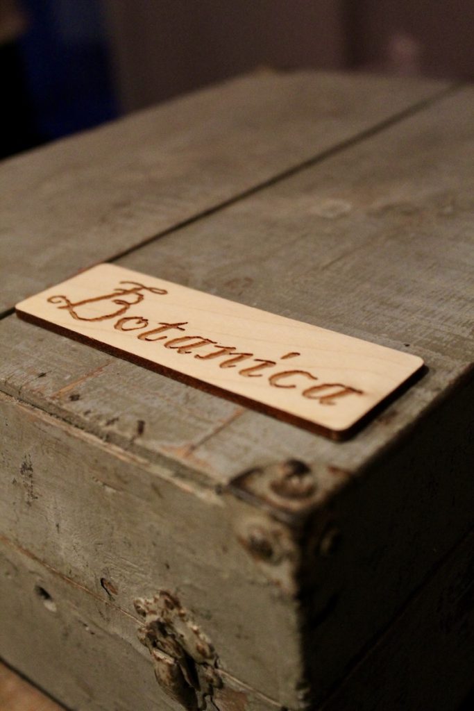 animation séminaire team building